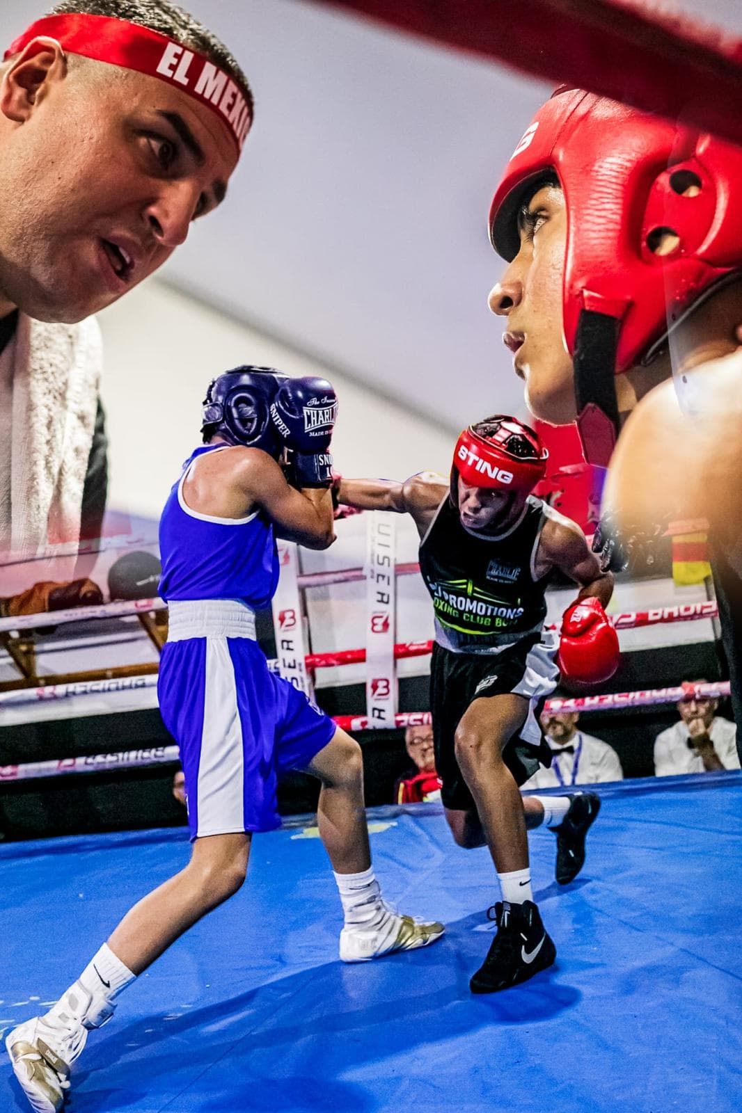 Combate de boxeo amateur en velada organizada por Ali Promotions, promotora de boxeo en Barcelona